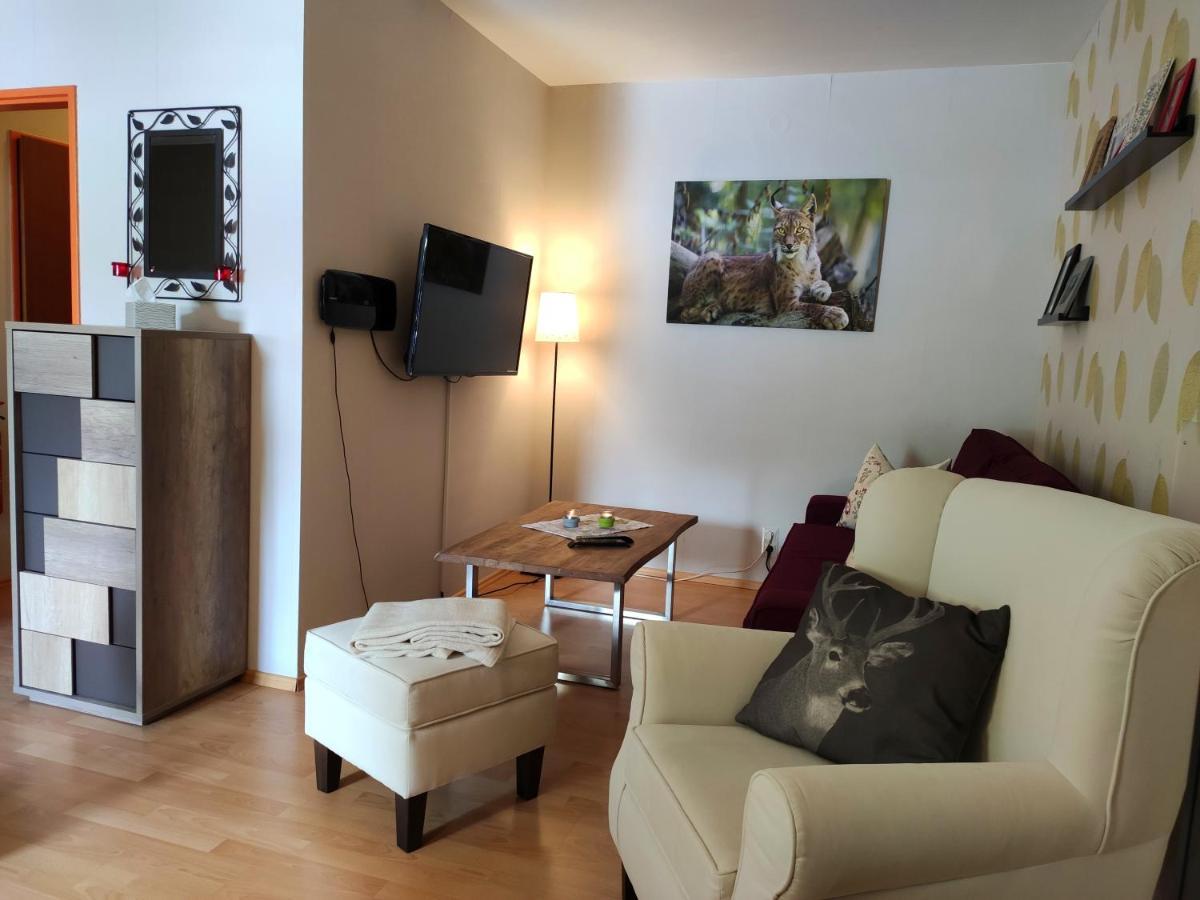 Ferienwohnung Harzluchs Mit Balkon & Sauna Im Haus Hohegeiss Ngoại thất bức ảnh