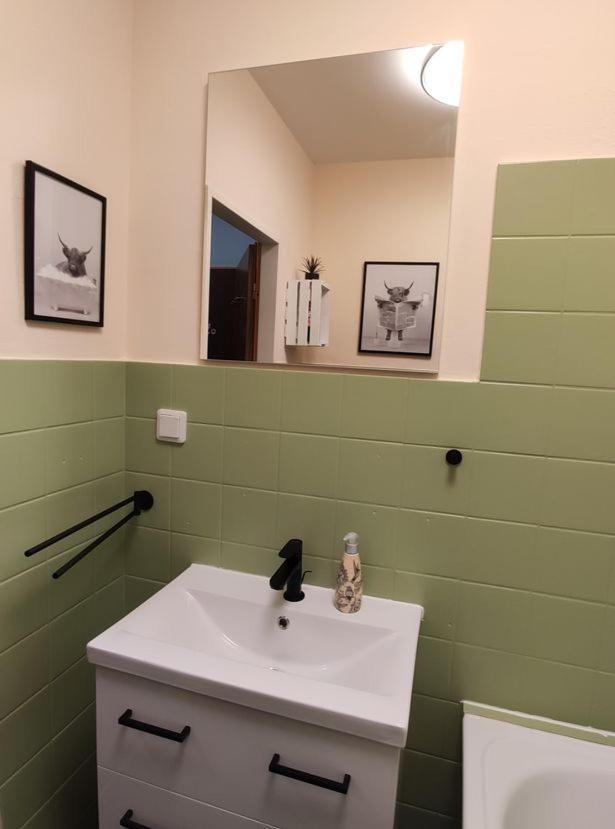 Ferienwohnung Harzluchs Mit Balkon & Sauna Im Haus Hohegeiss Ngoại thất bức ảnh