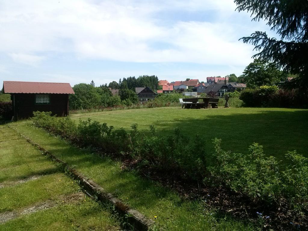 Ferienwohnung Harzluchs Mit Balkon & Sauna Im Haus Hohegeiss Phòng bức ảnh